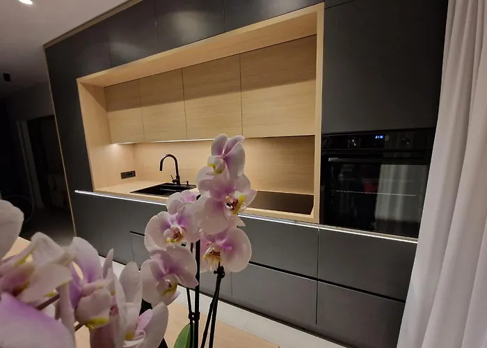 Luxury 2 At Zenith Belle Tour Apartment